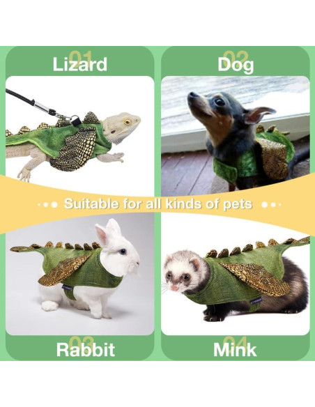 Conjunto Arnés y Correa HOKABLE para Dragón Barbudo Pequeño