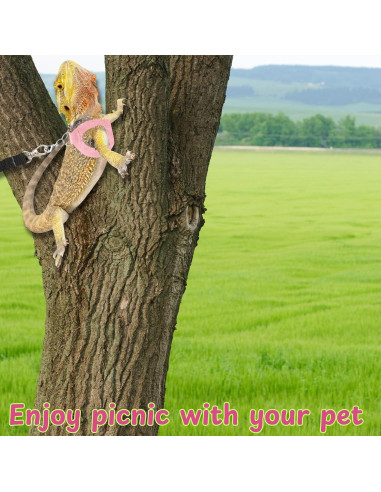 Arnés y Correa para Dragón Barbudo Homedy Conejo Rosa