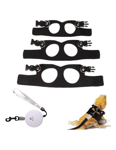 Conjunto Arnés y Correa Retráctil Dragón Barbudo Gosknor