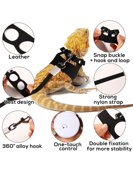 Conjunto Arnés y Correa Retráctil Dragón Barbudo Gosknor