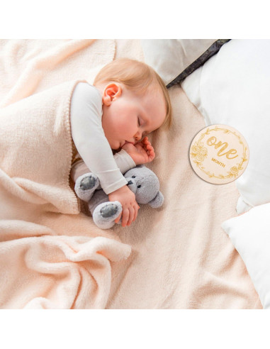 14 Tarjetas Mensuales para Bebés de Madera - Prop de Foto