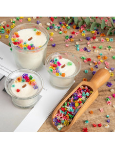 710 Flores Secas Naturales Color Claro para Manualidades 2