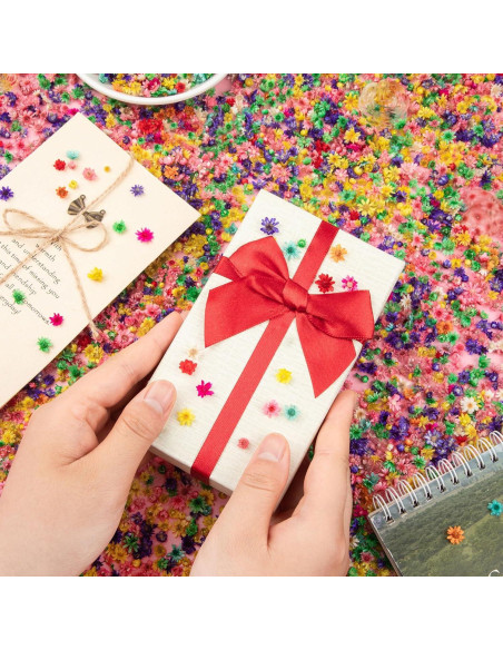 710 Flores Secas Naturales Color Claro para Manualidades