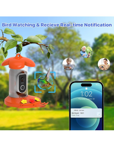 Comedero para Colibríes Gopic con Cámara 2K QHD y WiFi