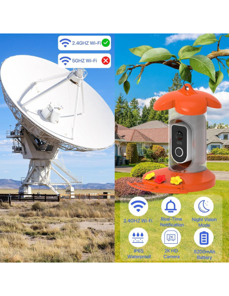 Comedero para Colibríes Gopic con Cámara 2K QHD y WiFi