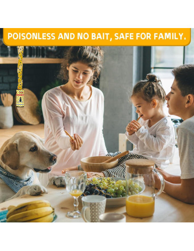 Paquete de 16 cintas adhesivas Pestoptek para atrapar moscas