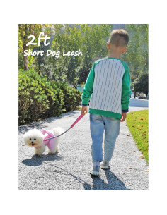 Correa Reflectante para Perros Mycicy 60 cm Nylon Resistente Rosa 2