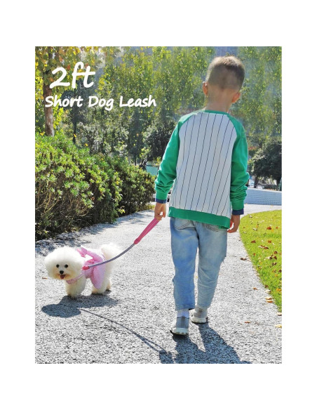 Correa Reflectante para Perros Mycicy 60 cm Nylon Resistente Rosa