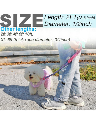 Correa Reflectante para Perros Mycicy 60 cm Nylon Resistente Rosa