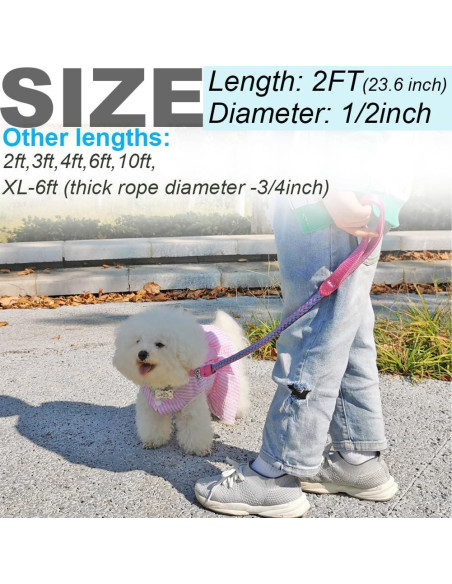 Correa Reflectante para Perros Mycicy 60 cm Nylon Resistente Rosa