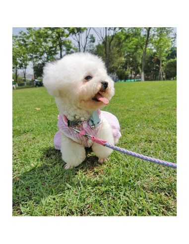 Correa Reflectante para Perros Mycicy 60 cm Nylon Resistente Rosa