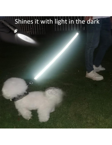 Correa Reflectante para Perros Mycicy 60 cm Nylon Resistente Rosa