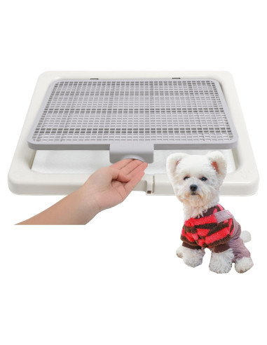 Bandeja de Entrenamiento para Perros Smart Paws 55x45cm
