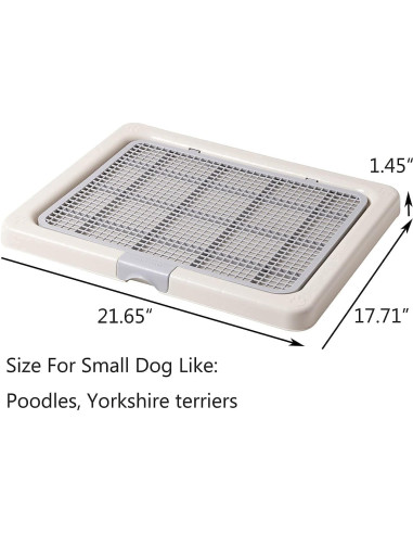 Bandeja de Entrenamiento para Perros Smart Paws 55x45cm
