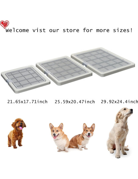 Bandeja de Entrenamiento para Perros Smart Paws 55x45cm