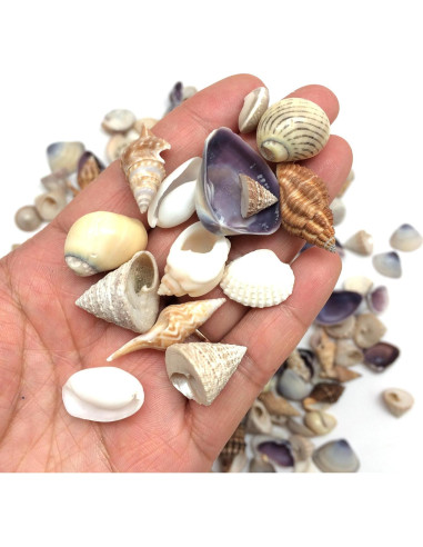 Mezcla Pequeña de Conchas Marinas PEPPERLONELY 340+ Pcs
