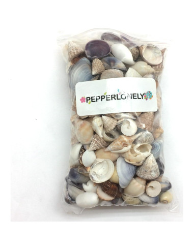 Mezcla Pequeña de Conchas Marinas PEPPERLONELY 340+ Pcs