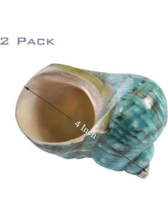 Conchas Naturales SINKOO 2PCS para Acuario y Decoración 10-11 cm 2