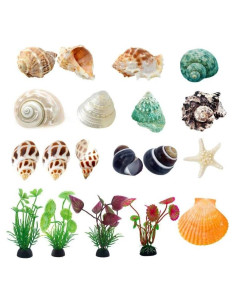 Suministros para Cangrejos Ermitaños LUCKY BABY 17 Piezas