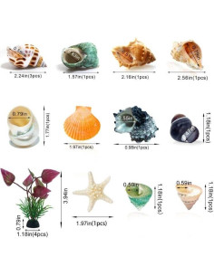 Suministros para Cangrejos Ermitaños LUCKY BABY 17 Piezas 2