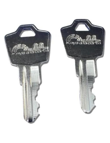 Llave de Reemplazo SentrySafe KEYSALACARTE Modelo M