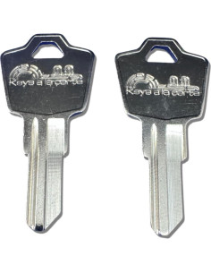 Llave de Reemplazo SentrySafe KEYSALACARTE Modelo M 2