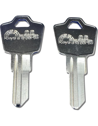 Llave de Reemplazo SentrySafe KEYSALACARTE Modelo M