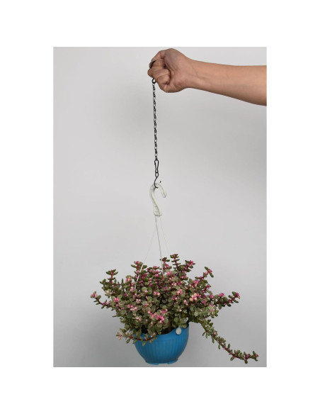 Cadena Colgante de Plantas Sersberg 11 Pulgadas Negra 6PCS