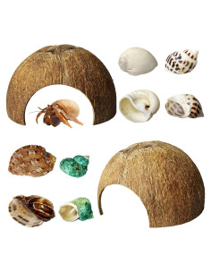 Refugios Naturales para Cangrejos Ermitaños Kathson - 10 Pcs