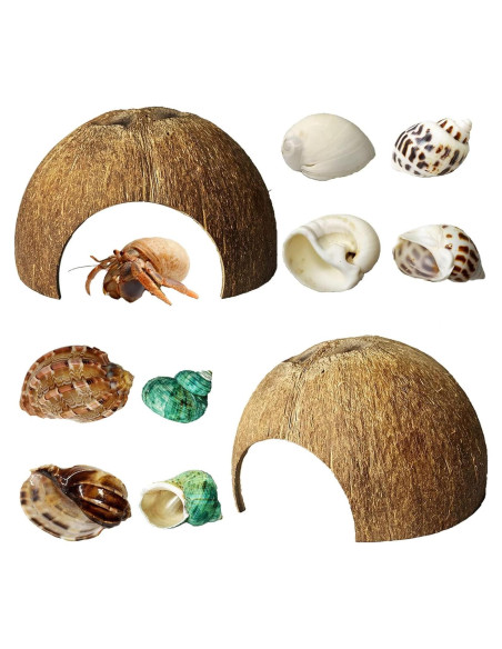 Refugios Naturales para Cangrejos Ermitaños Kathson - 10 Pcs