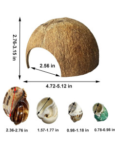 Refugios Naturales para Cangrejos Ermitaños Kathson - 10 Pcs 2