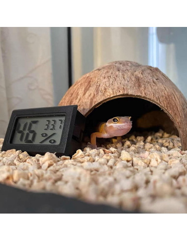 Refugios Naturales para Cangrejos Ermitaños Kathson - 10 Pcs