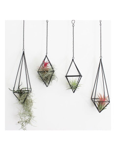 Soportes Colgantes para Plantas de Aire Libproqia - 4 Pcs Geométricos