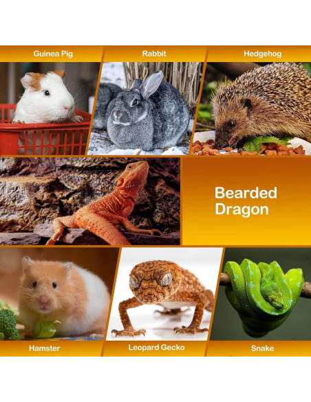 Bolsa Transportadora Snuggle Sling Watfoon Pets para Reptiles