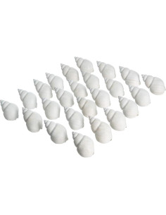 Conchas de Cangrejo Ermitaño Nautical Crush Trading - 24 Unidades Blancas 2.54-5.08 cm 2