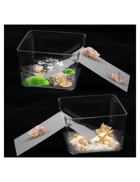 Tanques de Agua Transparentes para Cangrejos Ermitaños - KeaJuidy