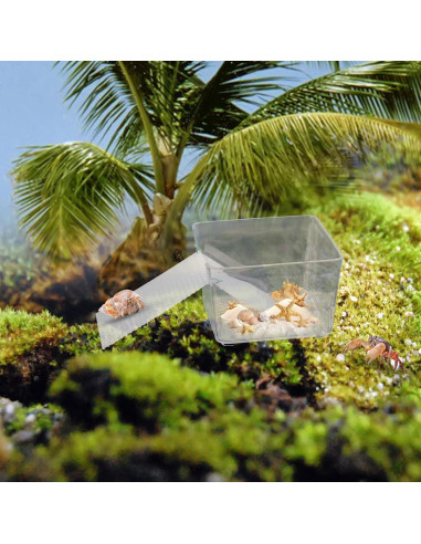 Tanques de Agua Transparentes para Cangrejos Ermitaños - KeaJuidy