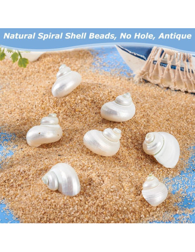 16 Caracolas Naturales Sin Perforar PH PandaHall 21-29 mm