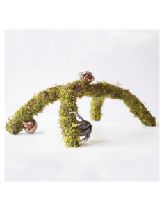 Poste de Musgo para Cangrejos Ermitaños Begeterday 30.48 cm