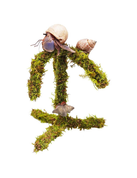 Juguete de Escalada para Cangrejo Ermitaño Jinymral 16.5 cm