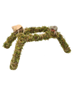 Juguete para Cangrejos Ermitaños Vitalili 28 cm Musgo Natural