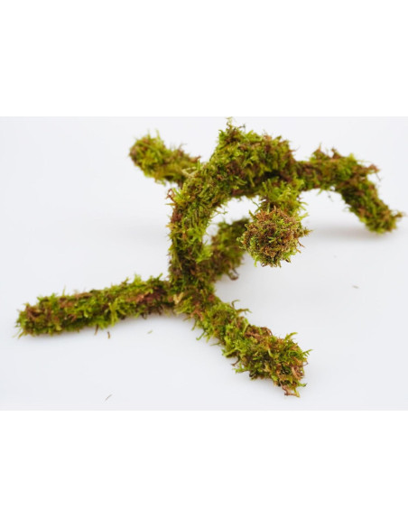 Juguete de Escalada para Cangrejo Ermitaño Jinymral 16.5 cm