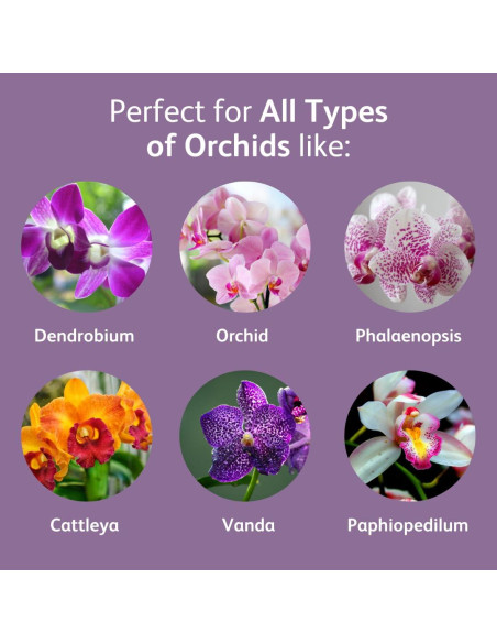 Gotas de Alimento para Orquídeas Chrysal - 1 Paquete 12 Meses