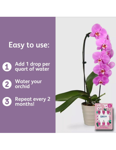 Gotas de Alimento para Orquídeas Chrysal - 1 Paquete 12 Meses