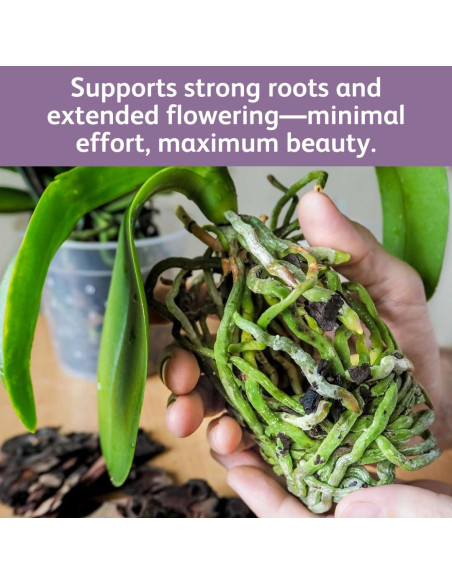 Gotas de Alimento para Orquídeas Chrysal - 1 Paquete 12 Meses