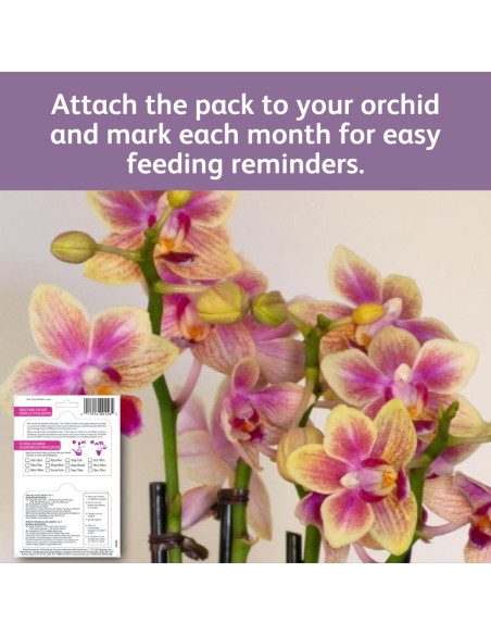 Gotas de Alimento para Orquídeas Chrysal - 1 Paquete 12 Meses