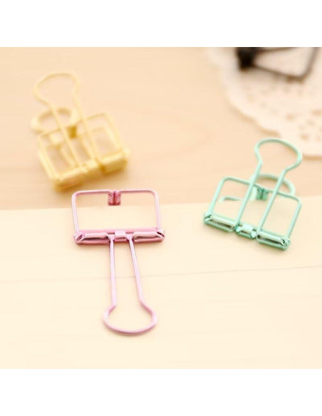 16 Clips de Alambre Metálico Multicolor SEEK RARE M