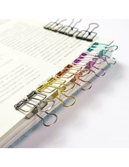16 Clips de Alambre Metálico Multicolor SEEK RARE M