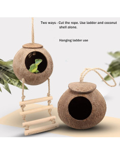 Refugio de Coco HERCOCCI para Reptiles con Escalera y Plantas 2