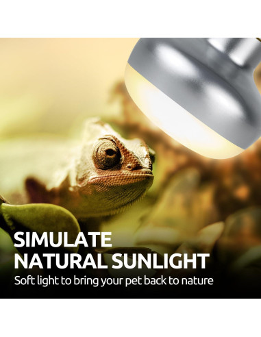 Paquete de Bombillas para Reptiles REPTI ZOO 100W y 26W UVB